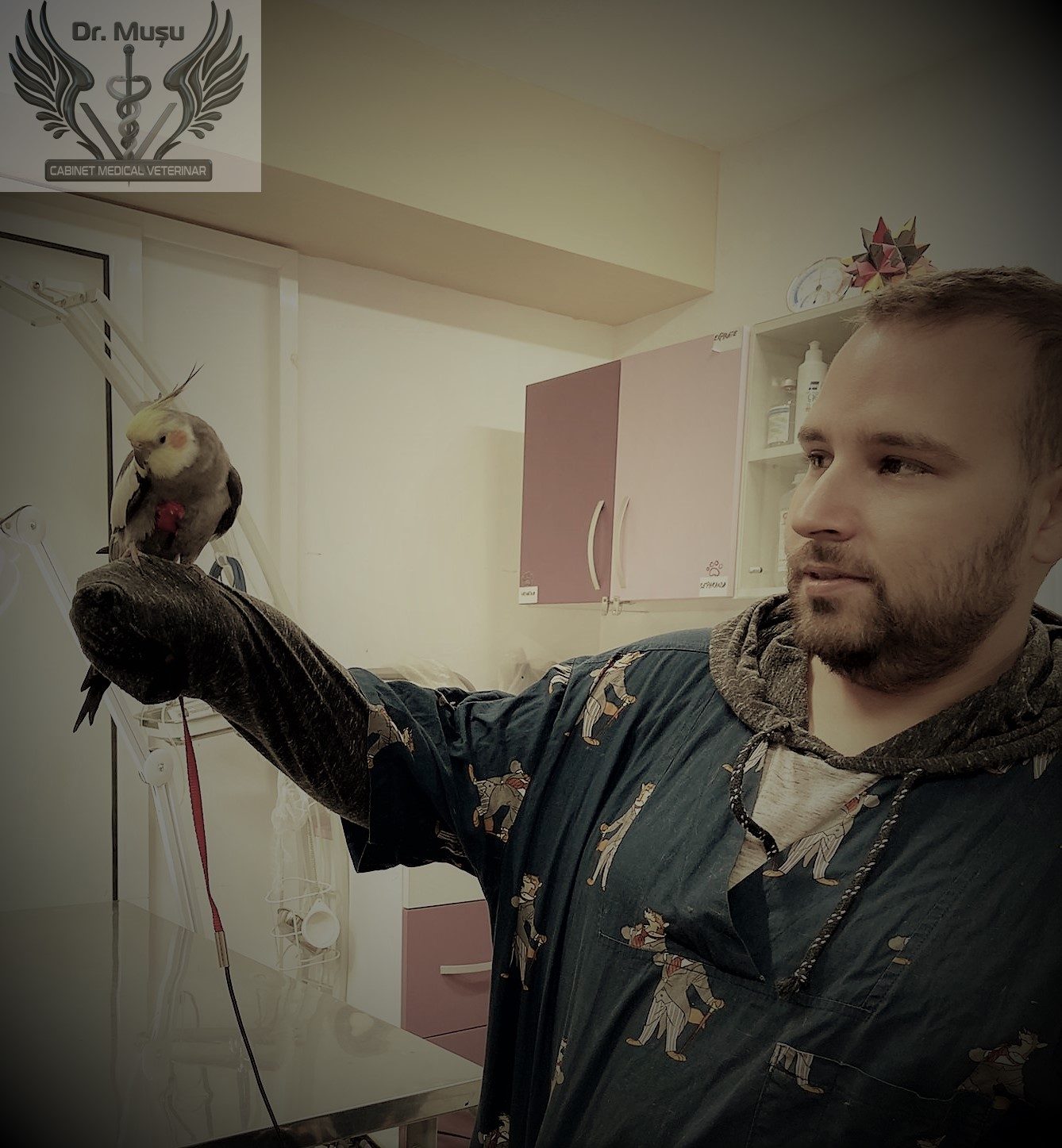 WhatsApp Image 2025-06-14 at 22.38.29 WhatsApp Image 2025-06-14 at 22.38.29